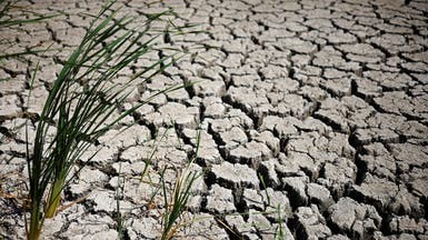 نقص المياه يهدد 3 ملايين هكتار من الأراضي الزراعية في الصين