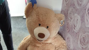 The teddy bear which Joshua Hobson tried to hide in. (Facebook)