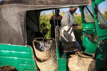 عربة تكتك بالسودان (تعبيرية)