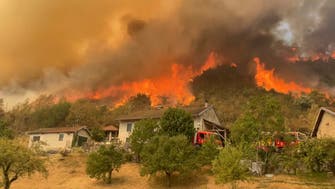 EU: 2022 sees record wildfire destruction across Europe