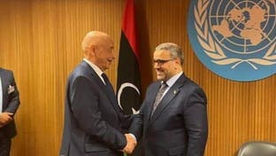 ليبيا.. مجلس الدولة يعلن تعليق التواصل مع البرلمان
