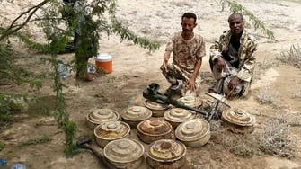 دیدبان یمنی درباره خطرات مین‌های حوثی علیه جان کشاورزان در الحدیده هشدار داد