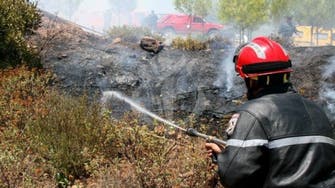 حرائق الغابات تشتعل مجدداً في الجزائر