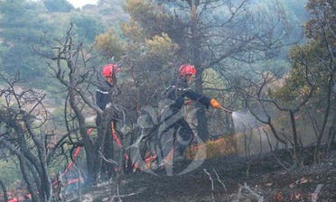 الجزائر کے جنگوں میں امسال اگست لگنے والی آگ