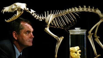 Scientists look to bring-back Tasmanian tiger from extinction: Report