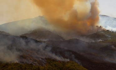 Wildfires in Algeria in August 2022