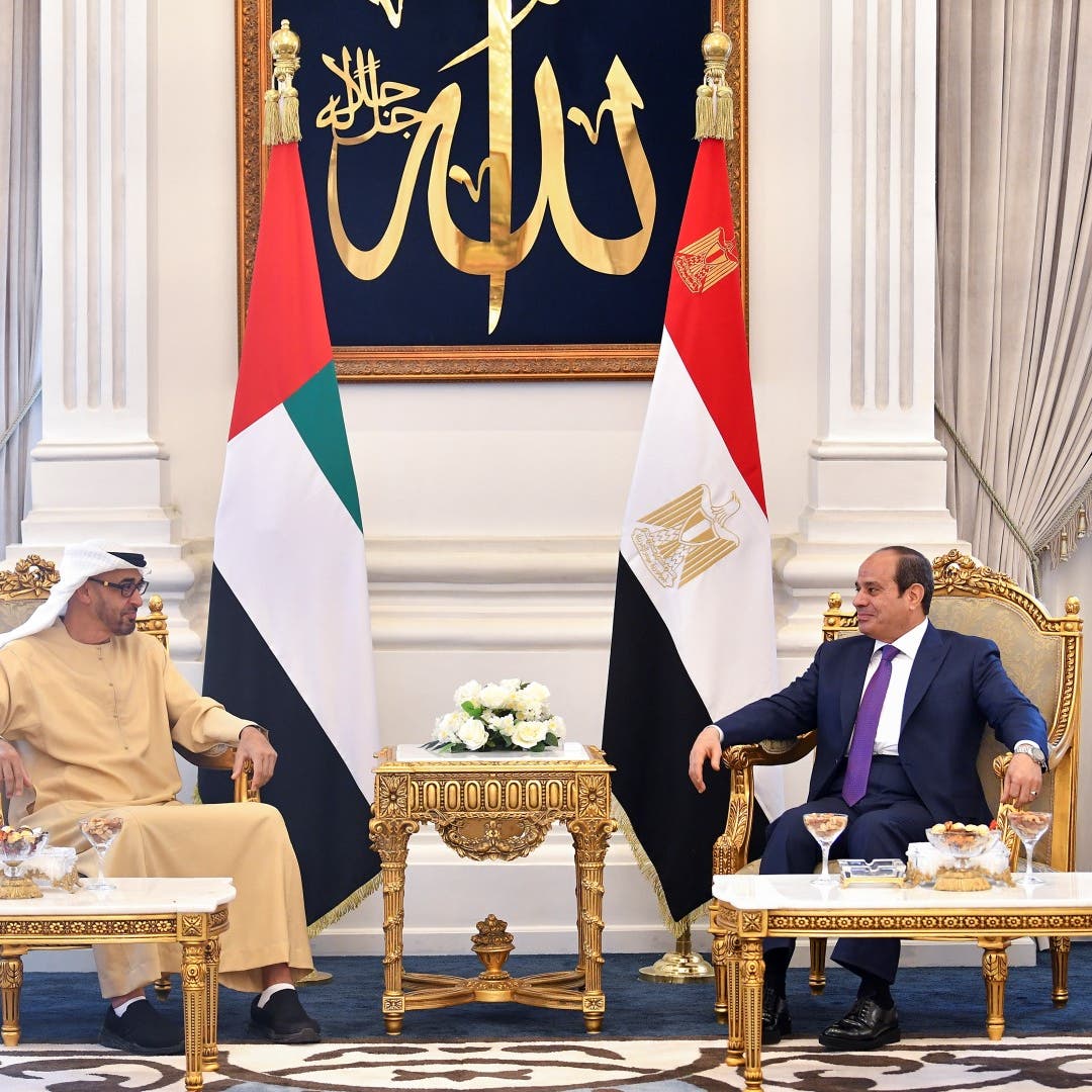 UAE President holds talks with al-Sisi in Egypt