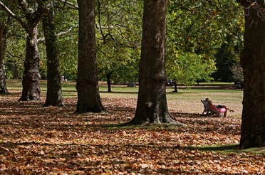 People sit on deckchairs among brown leaves fallen from the trees in St James' Park in London, August 24, 2022. (AFP)