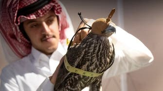 International falcon breeders flock to Riyadh for major exhibition