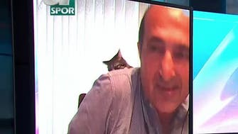 Video: Cat slaps sports commentator during live interview broadcast