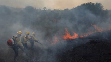 Brazilian Institute for the Environment and Renewable Natural Resources (IBAMA) fire brigade members attempt to control hot points during a fire at the the Brazil's Amazon rainforest, in Apui, Amazonas state, Brazil, September 5, 2021. Picture taken September 5, 2021. (File photo: Reuters)