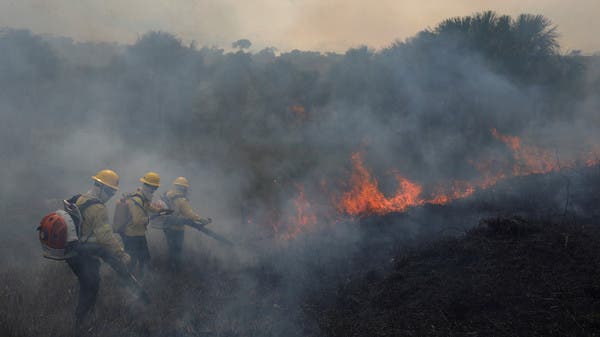 Tropical forest losses rise in 2022 despite pledge to end them: Global  Forest Watch