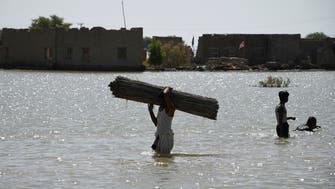 Pakistan calls for international flood relief help