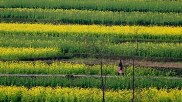 A farmer walks through a field near the town of Kangding in Sichuan province, February 23, 2009.  (File photo:Reuters)