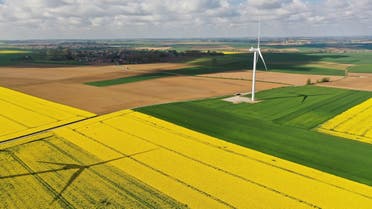 An aerial view shows a power-generating windmill turbine in the middle of rapeseed fields, in Saint-Hilaire-lez-Cambrai, France. Picture taken with a drone. (Reuters)