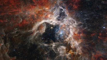 In this mosaic image stretching 340 light-years across, Webb’s Near-Infrared Camera (NIRCam) displays the Tarantula Nebula star-forming region in a new light, including tens of thousands of never-before-seen young stars that were previously shrouded in cosmic dust. (Supplied: NASA)