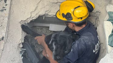A K9 unit aits the search for survivors under the rubble of a collapsed building in the Jordanian capital of Amman on September 14, 2022. (Jordan PSD/Twitter)