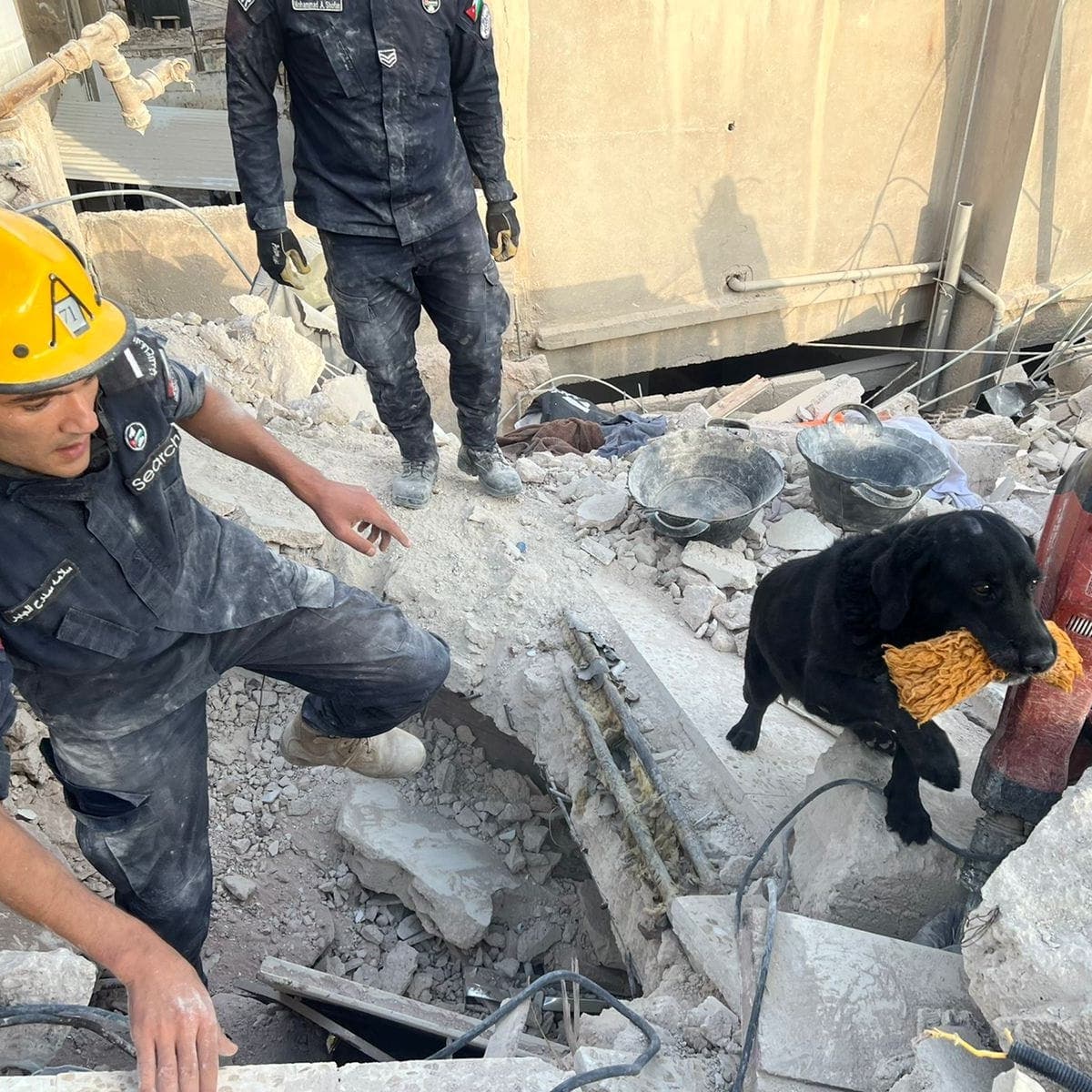 بعد انتشال جثتين.. ارتفاع ضحايا انهيار مبنى عمّان لـ9