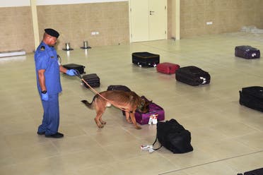 Their incredible sense of smell, workability and loyalty make the canines at Dubai Custom’s K9 Unit an invaluable asset to the security of Dubai’s borders. (Supplied)