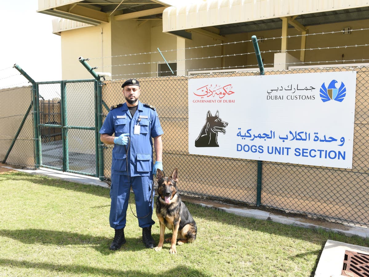 Dubai police hot sale k9 unit