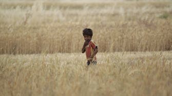 Climate change, conflict ruining Syria’s grain crop: UN