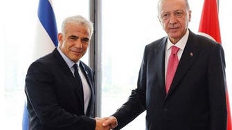 ایردوان اور اسرائیلی وزیراعظم کے درمیان ملاقات،حماس کے ہاں اسرائیلی قیدیوں پر بات چیت