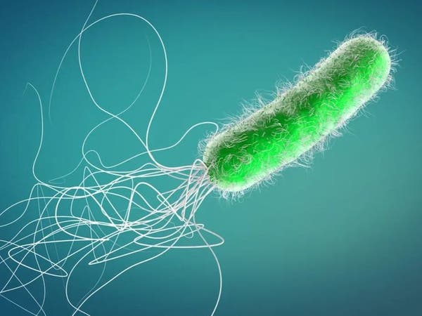 أول مادة سامة تقتل جزيئات الحمض النووي الريبي للبكتيريا! 