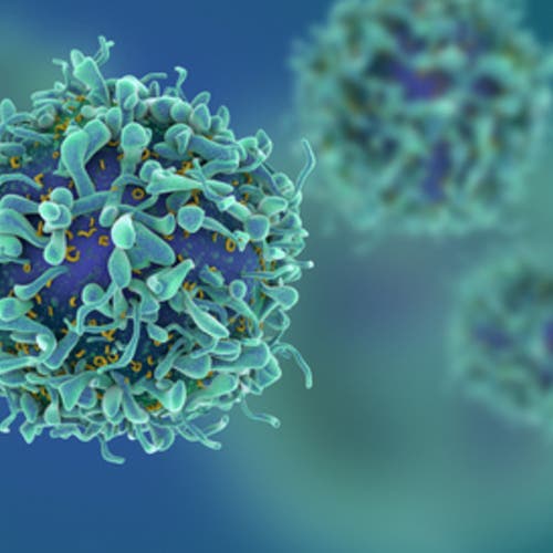 علاج واعد لمرضى السرطان.. فيروس يصيب الخلايا ويدمرها