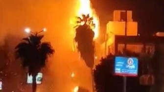 مشهد مروع.. حريق هائل يلتهم النخيل بأحد شوارع مصر