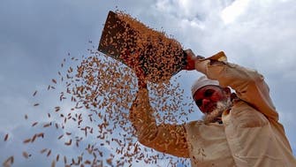 Unseasonal rain, crop losses could keep India’s food inflation high 
