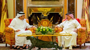 King Hamad of Bahrain receives UAE foreign minister Sheikh Abdullah bin Zayed in Bahrain. (WAM)