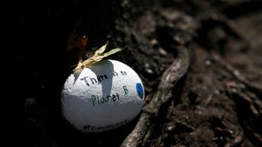A small painted rock left under a tree reads There is no planet B during a Climate Strike walkout and march in Seattle, Washington, US September 20, 2019. (File photo: Reuters)