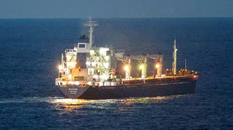 Cargo ship from Ukraine temporarily halts traffic in Istanbul’s Bosphorus Strait