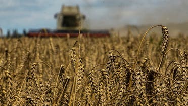 A combine harvests wheat in a field near the village of Zghurivka, amid Russia’s attack on Ukraine, in Kyiv region, Ukraine August 9, 2022. (Reuters)