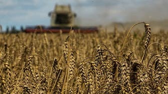 Wheat price climbs nearly 6 pct after Russia withdraws from Black Sea pact
