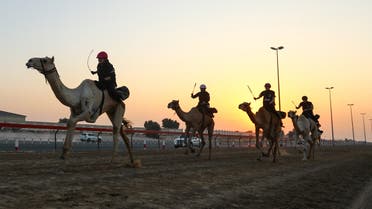Women take part in the C1 Championship Female Camel Racing Series in Dubai, United Arab Emirates, October 29, 2022. REUTERS/Amr Alfiky