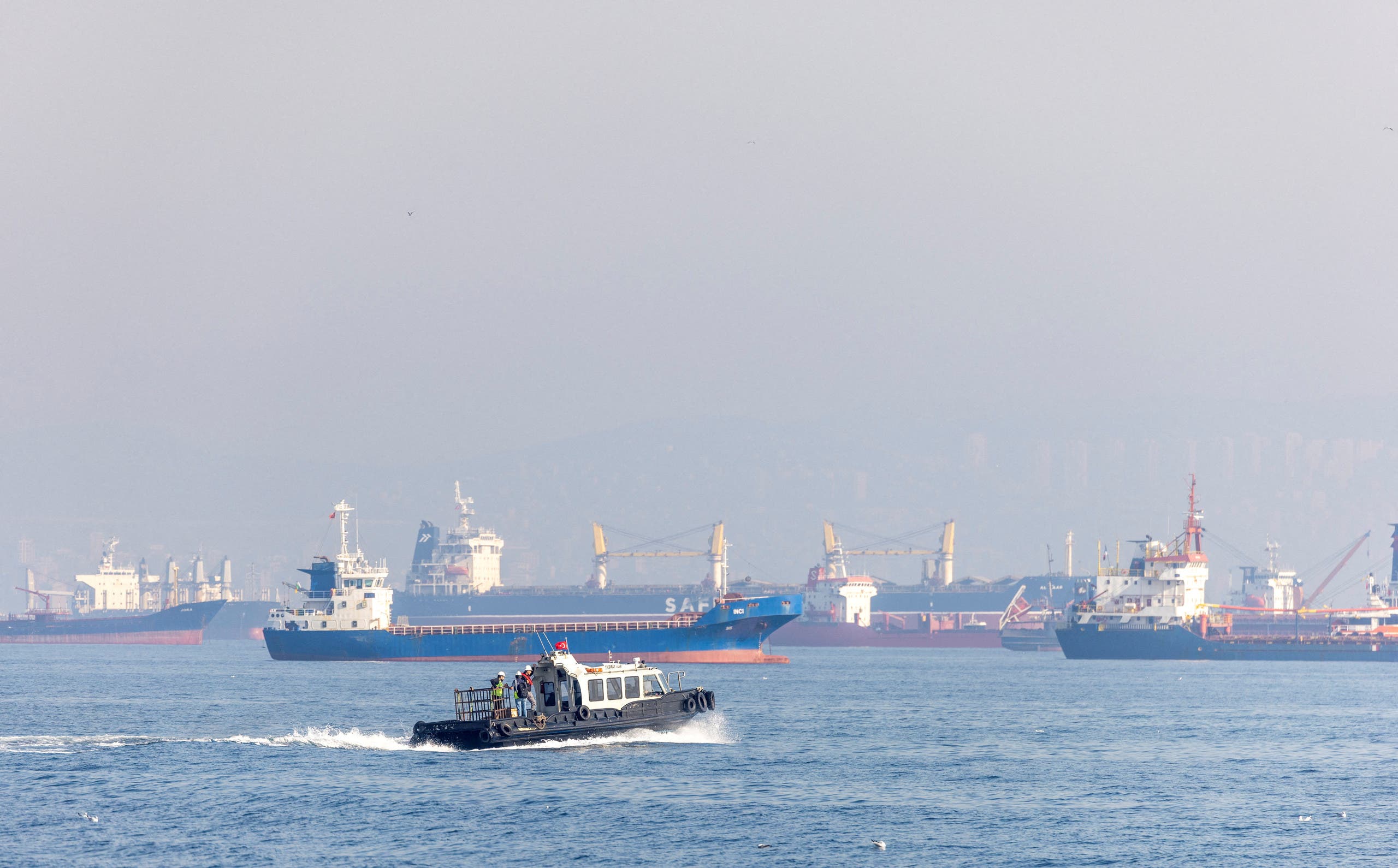 سفن محملة بالحبوب الأوكرانية (رويترز)