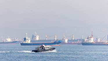 سفن محملة بالحبوب الأوكرانية عالقة في مضيق البوسفور (رويترز)