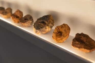 Navjot Altaf, Detail view of Patterns Which Connect (2018). 24 plaster and clay sculptures. Approx. 10 cm each. Image courtesy Ishara Art Foundation and the artist. Photo by Ismail Noor/Seeing Things.