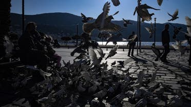 A man and a child feed pigeons in the city of Samos on the Greek island of Samos, on January 15, 2022. (Photo by ALAIN JOCARD / AFP)