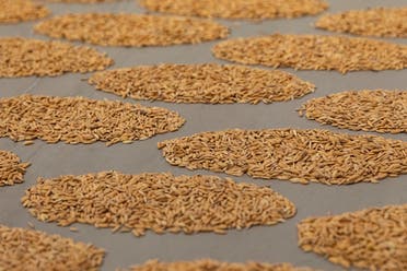 Navjot Altaf, Detail view of Pattern (2015-2016). Unmilled rice grains, Dimensions variable. Image courtesy Ishara Art Foundation and the artist. Photo by Ismail Noor/Seeing Things.