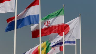 General view of the flag of Iran alongside other flags ahead of the World Cup in Qatar. (File photo: Reuters)