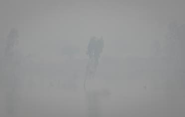 تلوث الهواء في نيو دلهي اليوم