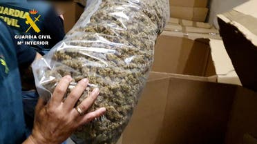 A Spanish civil guard holds a bag containing marijuana during the seizes the largest marijuana stash discovered so far, in Valencia, Spain. (Reuters)