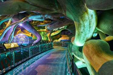 Interior view of Terra - The Sustainability Pavilion at Expo City Dubai. (Supplied)