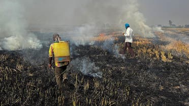 Farmers burn crop stubble in a rice field at a village in Fatehgarh Sahib district in the northern state of Punjab, India, on November 4, 2022. (Reuters)