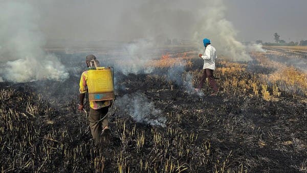 Farmers cite lack of options as stubble burning turns air toxic in ...