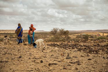 Helping communities in conflict-hit sreas such as Somalia (pictured) to adapt to the risks posed by climate change is essential. (Supplied: ICRC)