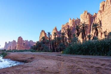 Wadi al-Disah, Valley of the Palm Trees, in Saudi Arabia. (Twitter)