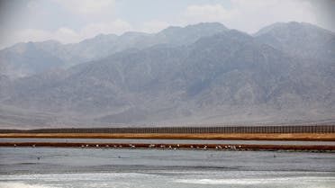 Flamingos stand in a water reservoir on the Israeli side of the border fence between Israel and Jordan, north to Eilat, June 13, 2018. (File photo: Reuters)